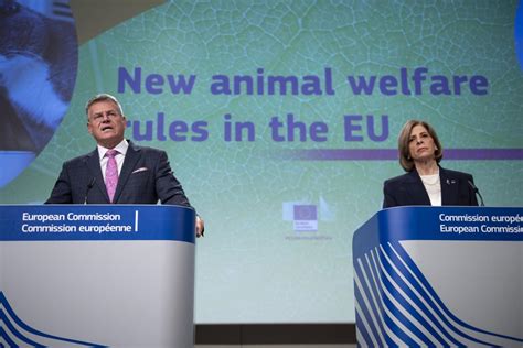 Commission proposes new rules to improve animal welfare